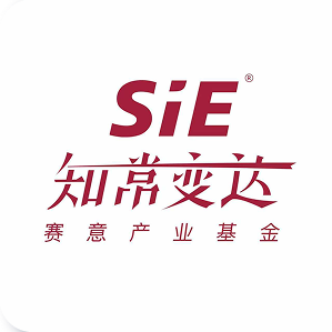 赛意产投